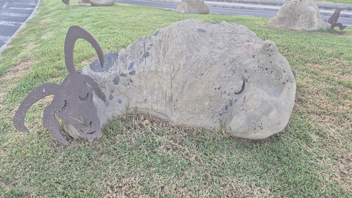 Geitenkoppen als kunstwerk in Puerto del Rosario